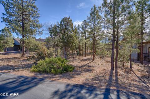 3980 Sugar Pine Loop, Show Low, AZ 85901 photo 4