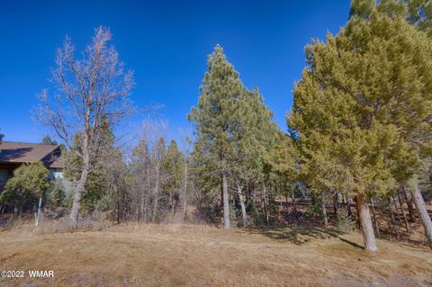 3980 Sugar Pine Loop, Show Low, AZ 85901 photo 3