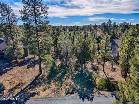 3980 Sugar Pine Loop, Show Low, AZ 85901 photo 2