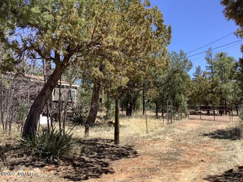 2020 Bird Ln, Overgaard, AZ 85933 photo 32