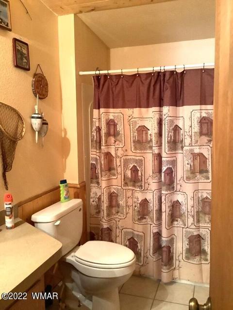 2020 Bird Ln, Overgaard, AZ 85933 photo 16