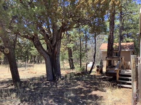2020 Bird Ln, Overgaard, AZ 85933 photo 35