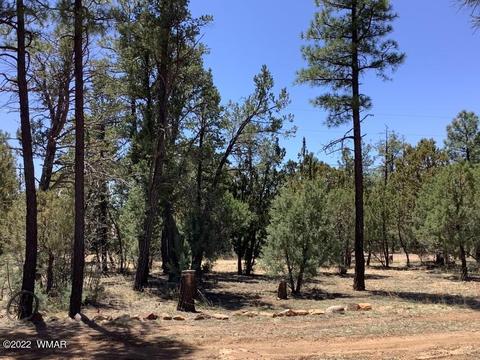 2020 Bird Ln, Overgaard, AZ 85933 photo 9