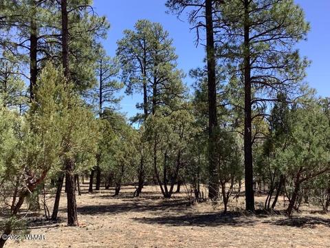 2020 Bird Ln, Overgaard, AZ 85933 photo 8