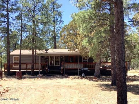 2020 Bird Ln, Overgaard, AZ 85933 photo 7