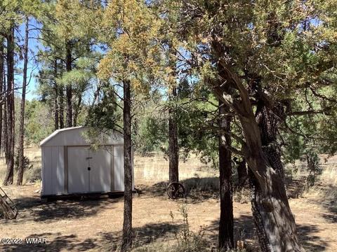 2020 Bird Ln, Overgaard, AZ 85933 photo 34