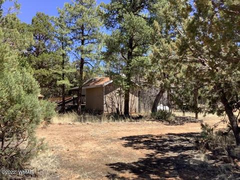 2020 Bird Ln, Overgaard, AZ 85933 photo 31