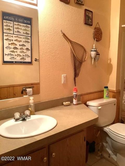 2020 Bird Ln, Overgaard, AZ 85933 photo 17