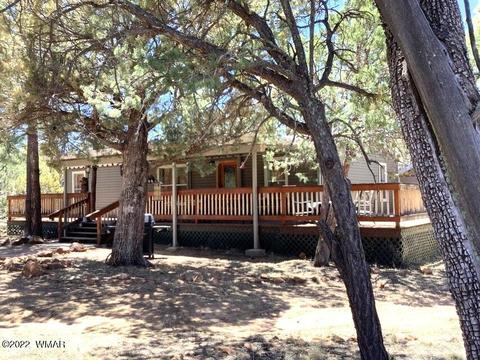 2020 Bird Ln, Overgaard, AZ 85933 photo 36