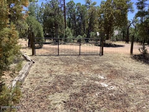 2020 Bird Ln, Overgaard, AZ 85933 photo 10