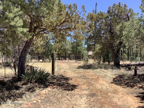 2020 Bird Ln, Overgaard, AZ 85933 photo 29