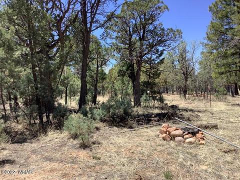 2020 Bird Ln, Overgaard, AZ 85933 photo 28