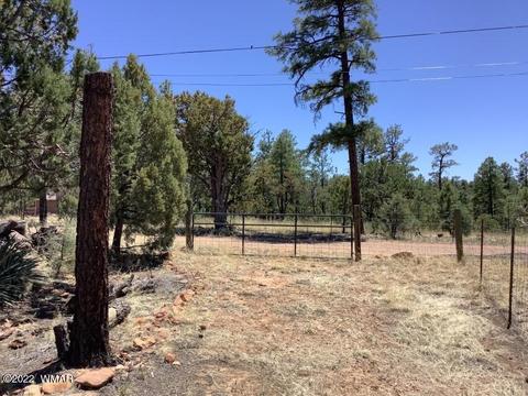 2020 Bird Ln, Overgaard, AZ 85933 photo 30
