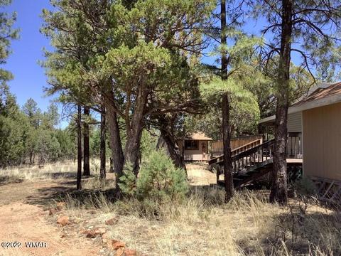2020 Bird Ln, Overgaard, AZ 85933 photo 33