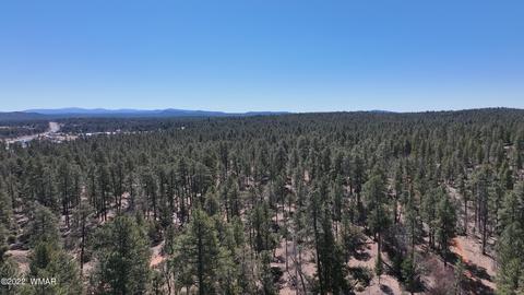 152 The Rim, Lakeside, AZ 85929