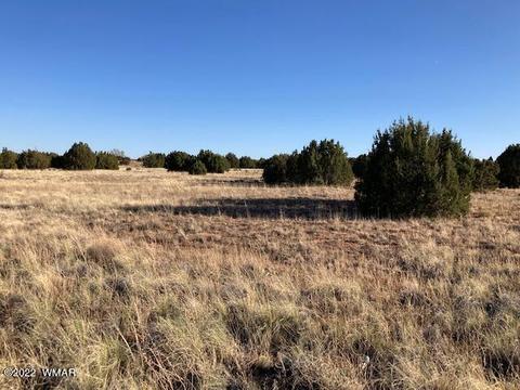 3719 Highland Rd, Snowflake, AZ 85937 photo 1
