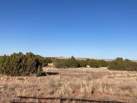 3719 Highland Rd, Snowflake, AZ 85937 photo 2