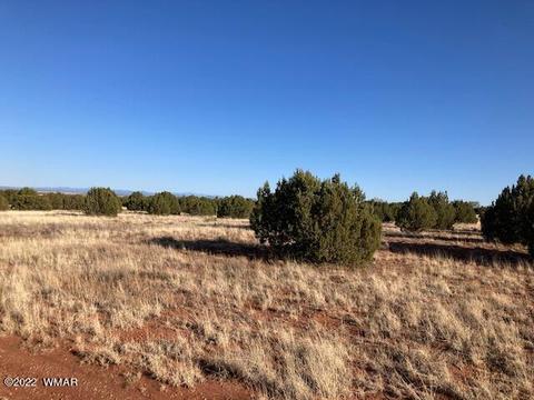 3719 Highland Rd, Snowflake, AZ 85937 photo 3