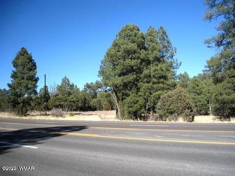 2873 State Route 260, Overgaard, AZ 85933