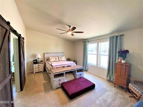 353 S Harless St, Eagar, AZ 85925 photo 11