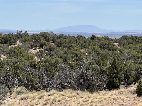 lot396 Easy St, Saint Johns, AZ 85936