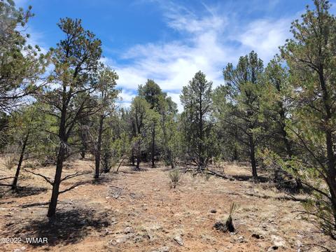 3242 Jeep Trl, Overgaard, AZ 85933 photo 8