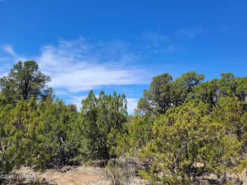 3242 Jeep Trl, Overgaard, AZ 85933