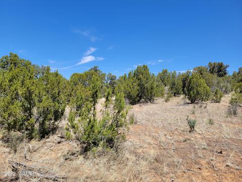 3242 Jeep Trl, Overgaard, AZ 85933 photo 3