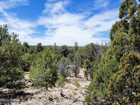 3242 Jeep Trl, Overgaard, AZ 85933 photo 5