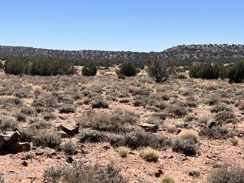 3865 Dia Estrella Rd, Snowflake, AZ 85937