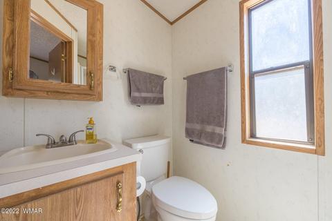 2970 Cozy Cir, Overgaard, AZ 85933 photo 25