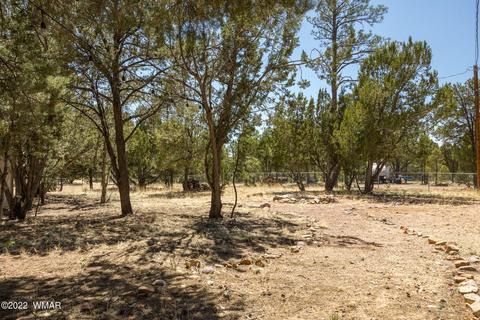 2970 Cozy Cir, Overgaard, AZ 85933 photo 7