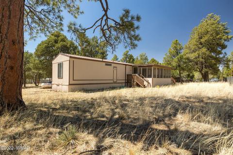 2970 Cozy Cir, Overgaard, AZ 85933 photo 3