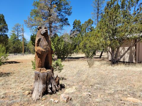 2970 Cozy Cir, Overgaard, AZ 85933 photo 6