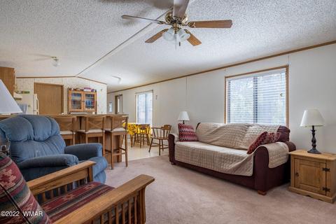 2970 Cozy Cir, Overgaard, AZ 85933 photo 16