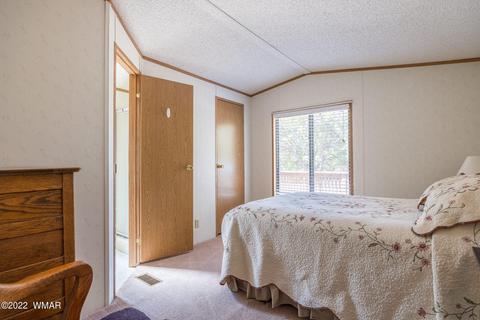 2970 Cozy Cir, Overgaard, AZ 85933 photo 21