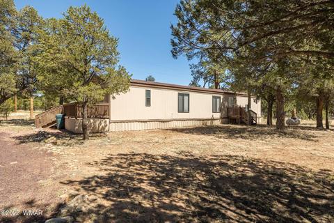 2970 Cozy Cir, Overgaard, AZ 85933 photo 5