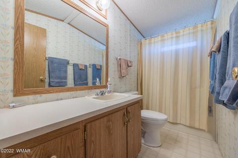 2970 Cozy Cir, Overgaard, AZ 85933 photo 24