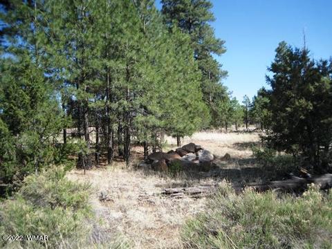 2930 State Route 260, Overgaard, AZ 85933 photo 5