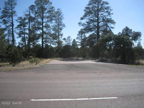 2930 State Route 260, Overgaard, AZ 85933 photo 4