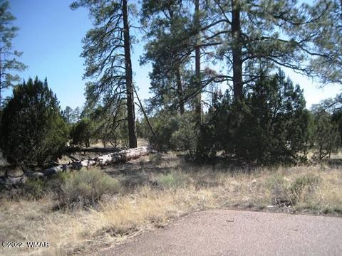2930 State Route 260, Overgaard, AZ 85933 photo 2