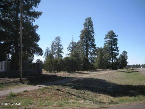 2930 State Route 260, Overgaard, AZ 85933