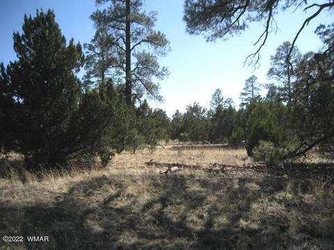 Tbd State Route 260, Overgaard, AZ 85933 photo 3