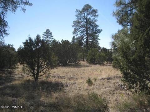 Tbd State Route 260, Overgaard, AZ 85933 photo 2