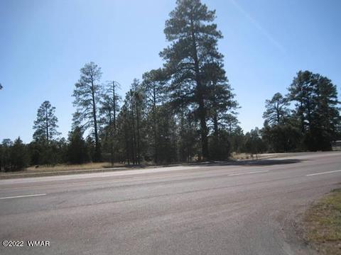 Tbd State Route 260, Overgaard, AZ 85933 photo 6