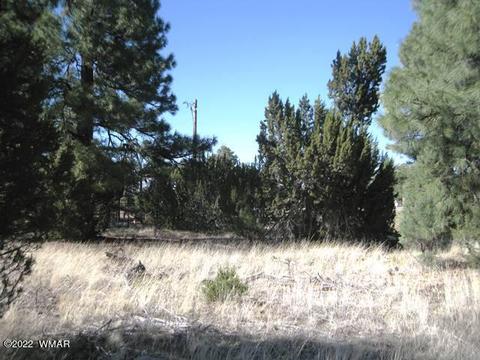 Tbd State Route 260, Overgaard, AZ 85933 photo 5