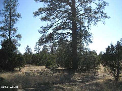 Tbd State Route 260, Overgaard, AZ 85933