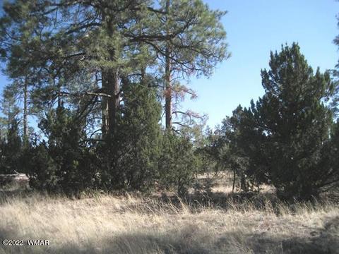 Tbd State Route 260, Overgaard, AZ 85933 photo 4