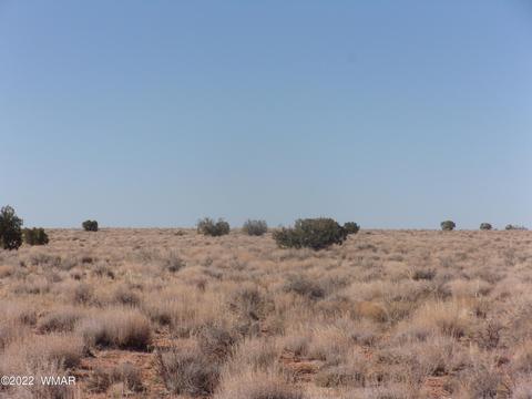 5361 Wickberg Rd, Snowflake, AZ 85937 photo 3