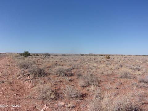 5361 Wickberg Rd, Snowflake, AZ 85937 photo 2